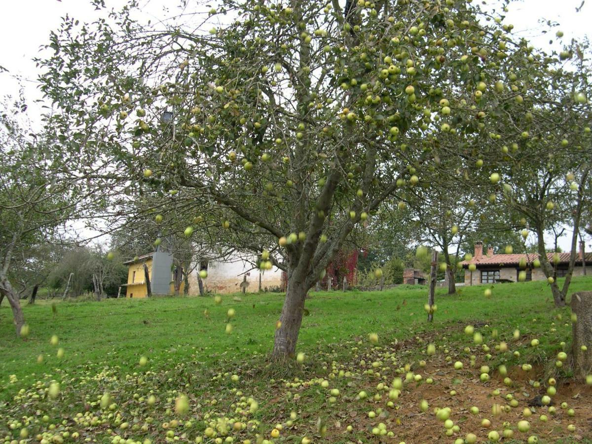Turismo Rural El Sidron Guest House Piloña Exterior foto